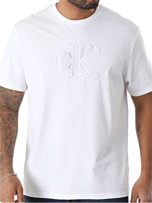 T-shirt in cotone Calvin Klein Jeans | LV04RC824GYAA